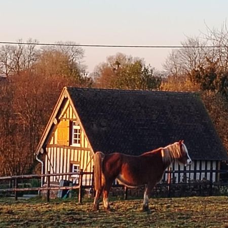 Gite A La Petite Bretonniere Saint-Pierre-Des-Ifs  Exteriér fotografie