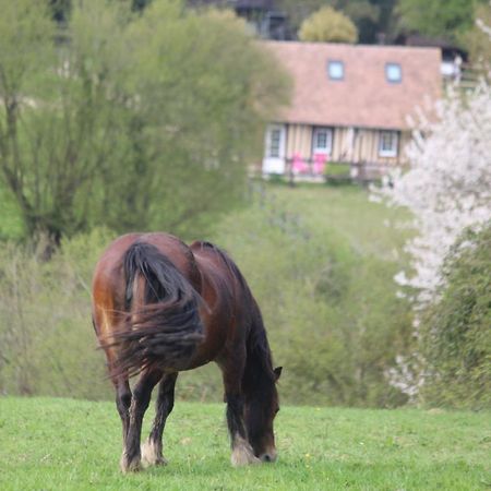 Gite A La Petite Bretonniere Saint-Pierre-Des-Ifs  Exteriér fotografie